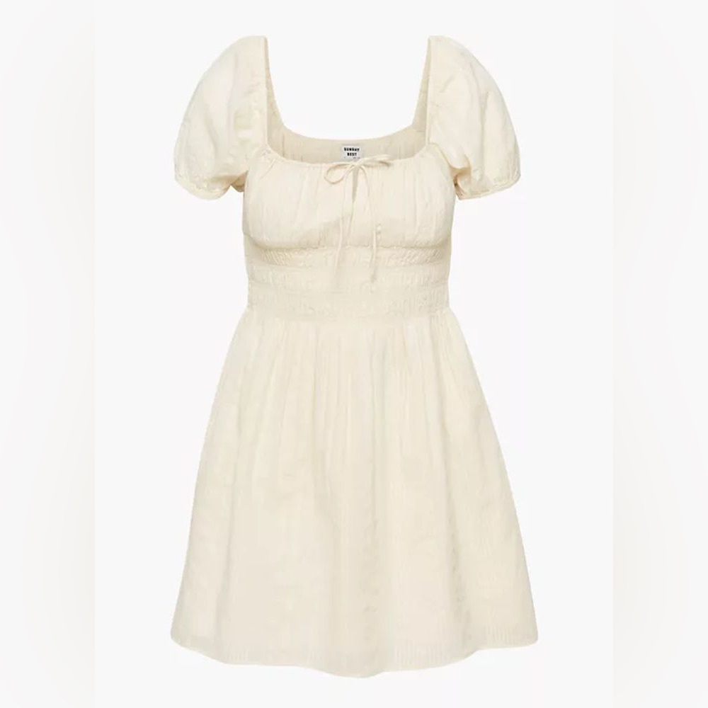 NWT Sunday Best Aritzia Kay Mini Dress